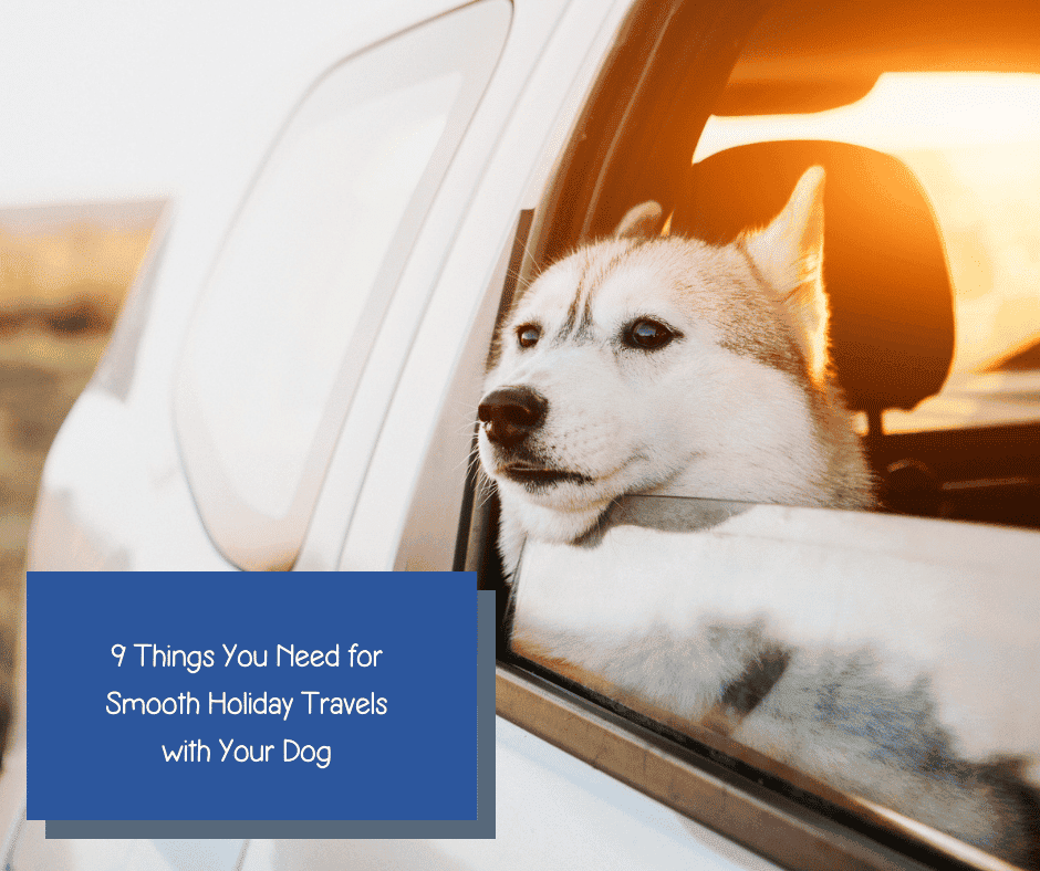holiday travel with dog essentials f