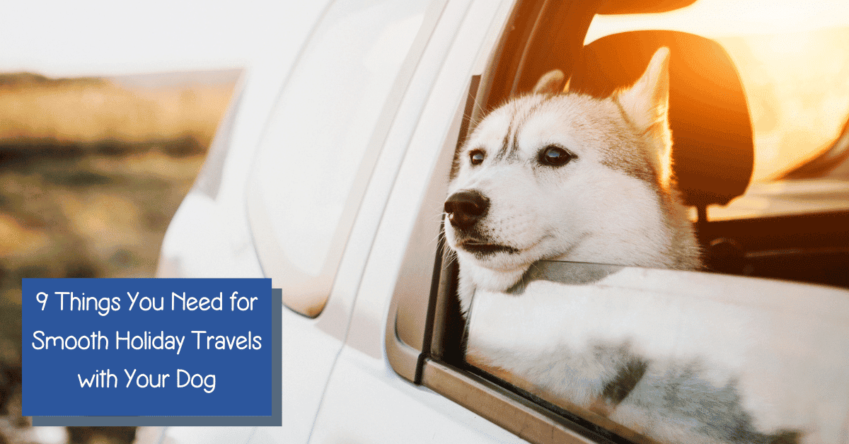 9 Things You Need for Smooth Holiday Travel With Your Dog