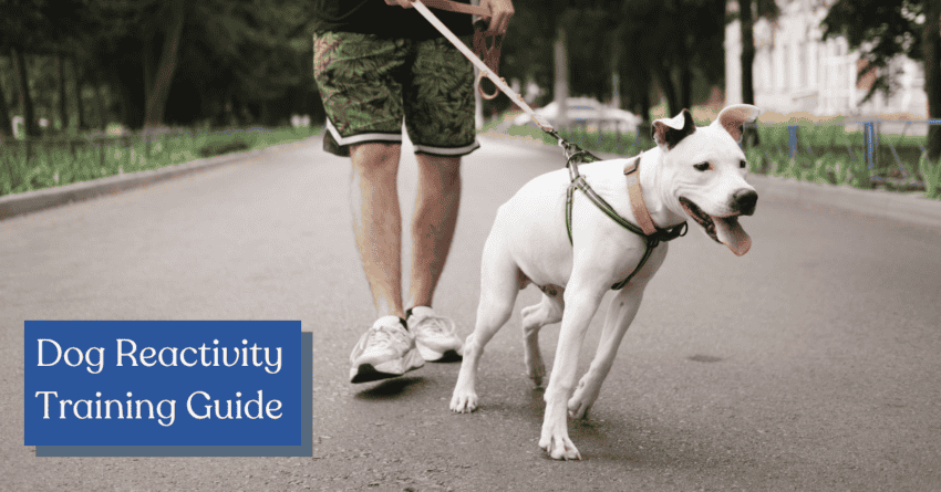 dog reactivity training guide fb