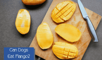 a photo of cut-up mangoes with text "can dogs eat mango?"