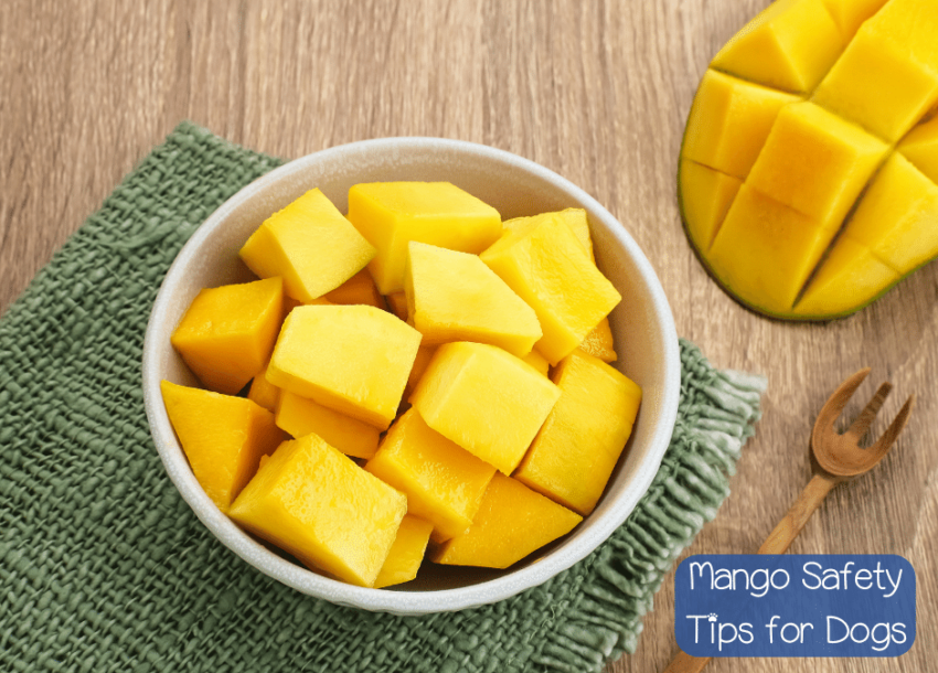 Mango cubes in a bowl with text "Mango safety tips for dogs"