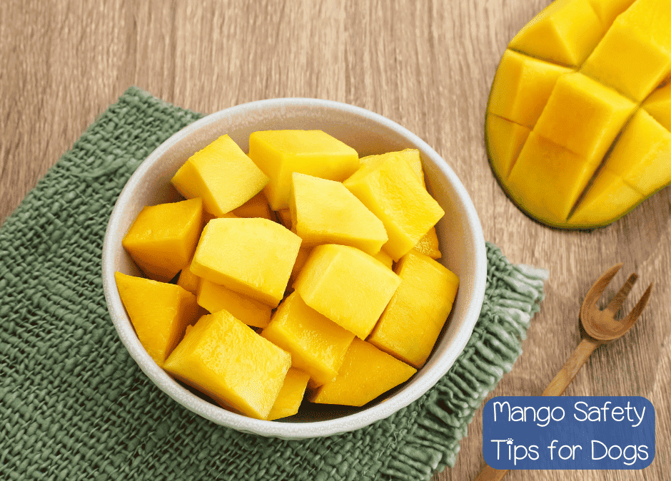 Can Dogs Eat Mango? A Comprehensive Guide to Feeding Mango to Your Pup