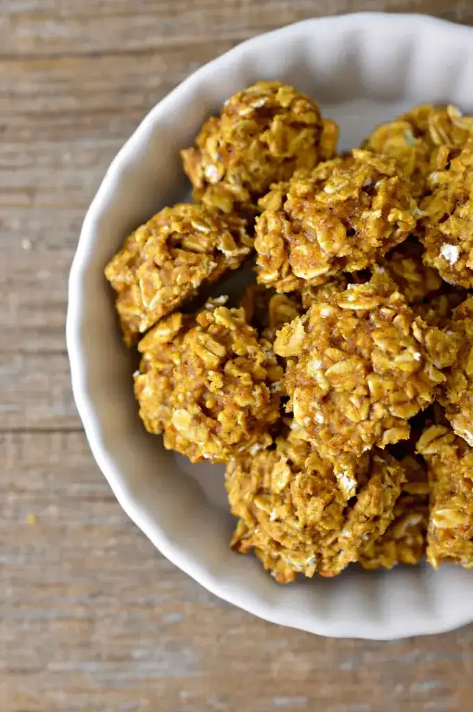 Easy Hypoallergenic Dog Treat Recipe: Pumpkin and Oats Dog Treats Easy Hypoallergenic Dog Treat Recipe: Pumpkin and Oats Dog Treats
