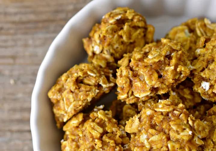 Easy Hypoallergenic Dog Treat Recipe: Pumpkin and Oats Dog Treats