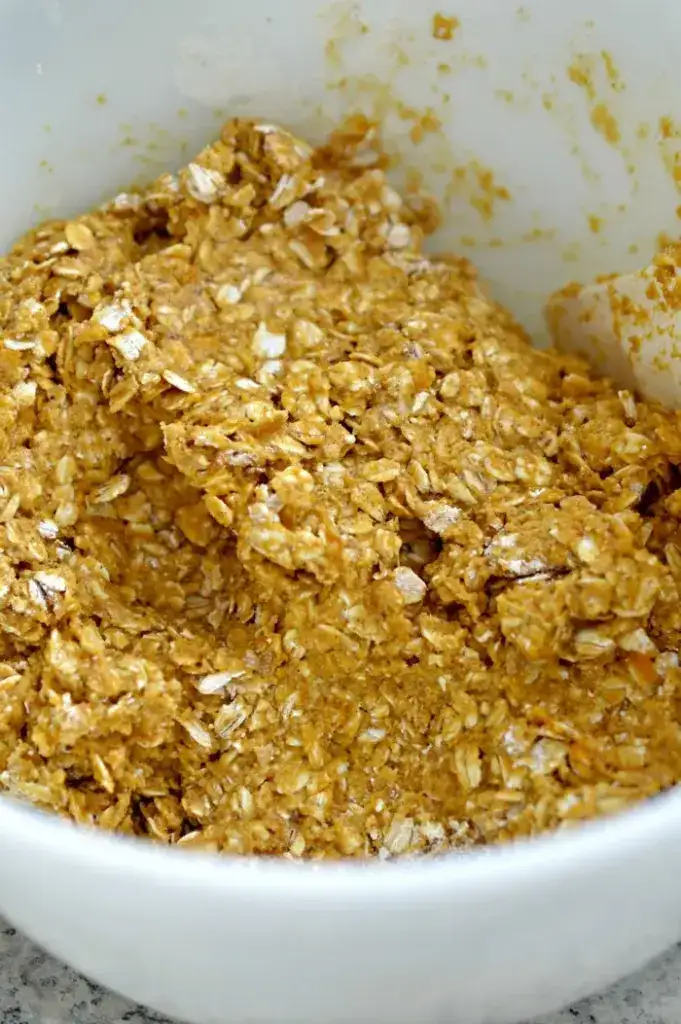 Easy Hypoallergenic Dog Treat Recipe: Pumpkin and Oats Dog Treats Easy Hypoallergenic Dog Treat Recipe: Pumpkin and Oats Dog Treats