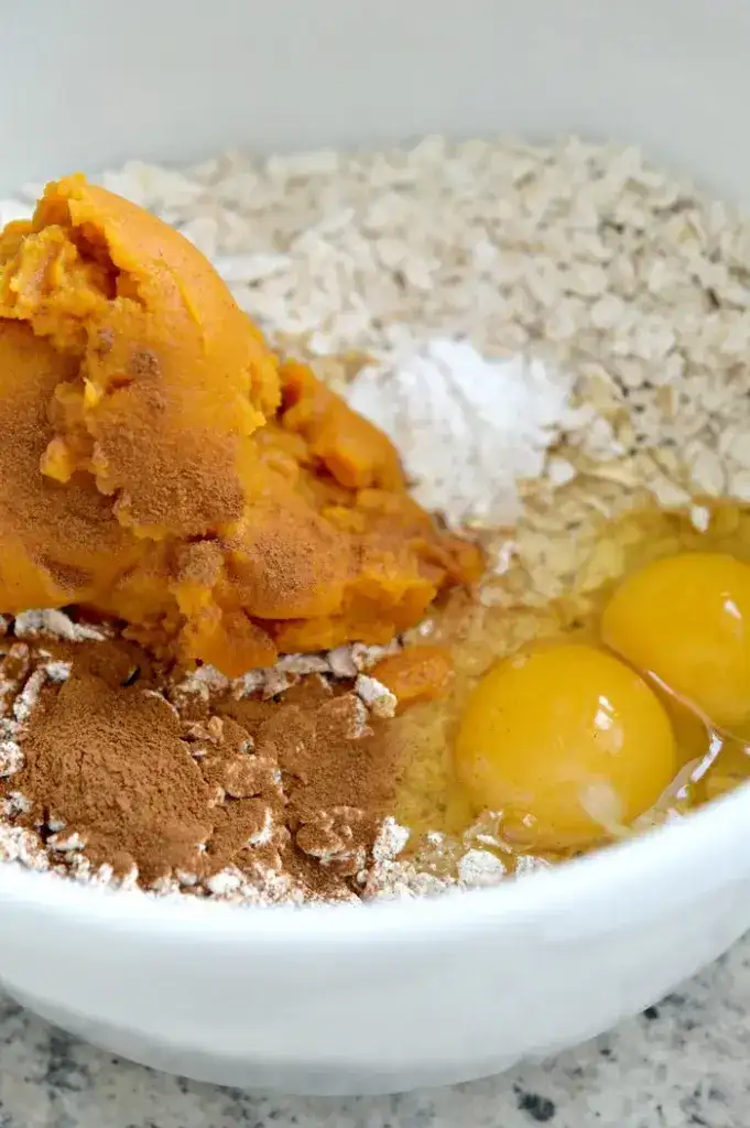 Easy Hypoallergenic Dog Treat Recipe: Pumpkin and Oats Dog Treats Easy Hypoallergenic Dog Treat Recipe: Pumpkin and Oats Dog Treats