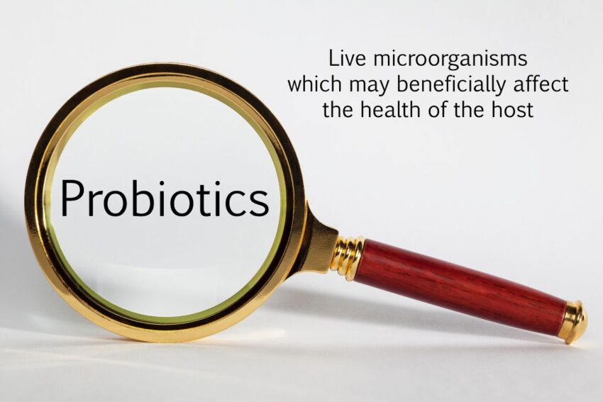 probiotics definition