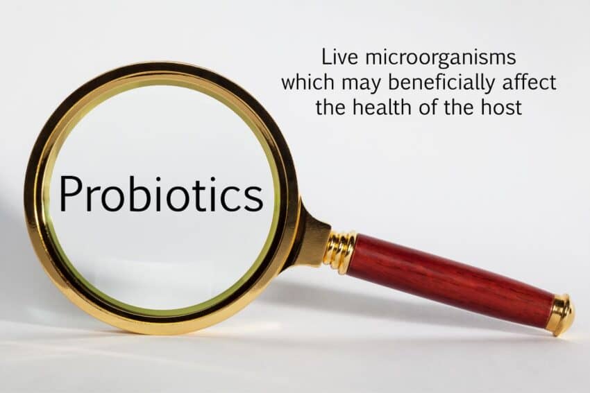 probiotics definition