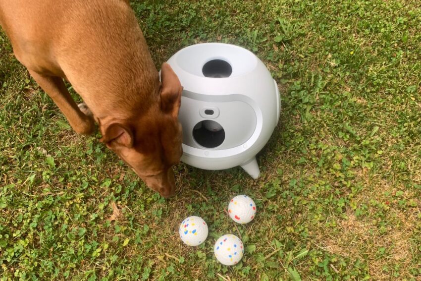 Uahpet iRetriever Automatic Ball Launcher Review: Meet Your Dog's New Favorite Fetch Buddy!