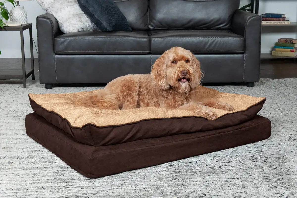 5 Best Furhaven Dog Beds for All Breeds & Needs DogVills
