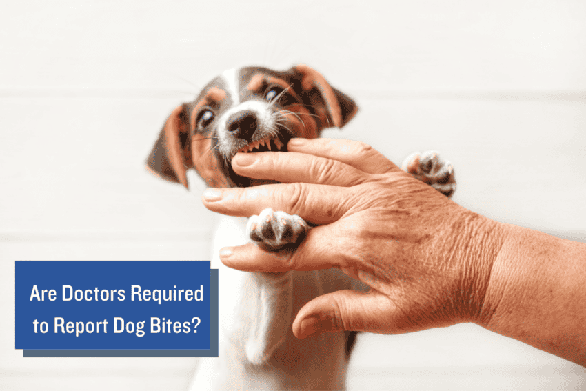 Are Doctors Required to Report Dog Bites?
