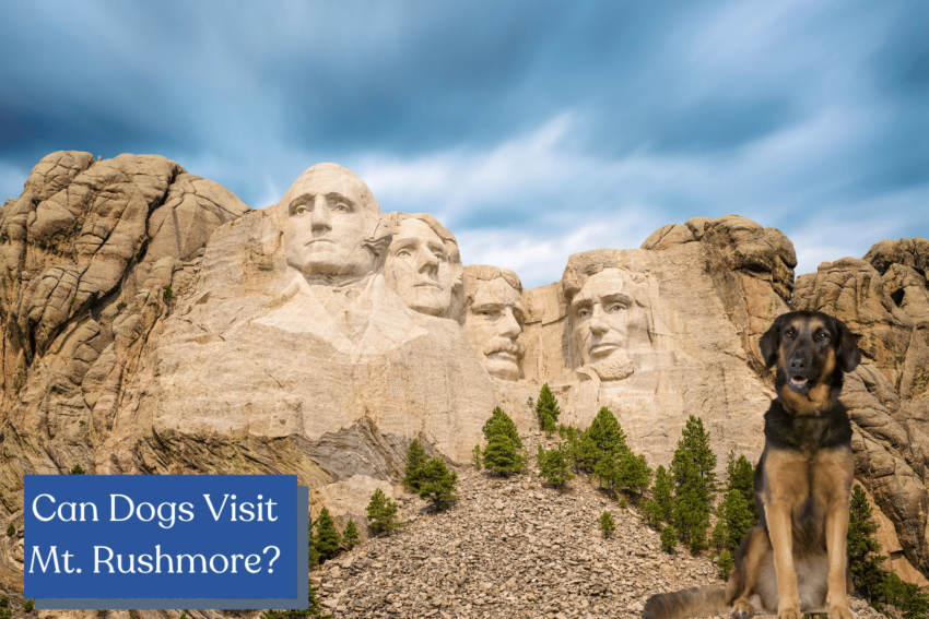Are dogs allowed at Mount Rushmore? How about other national monuments? The answer depends on several factors. Learn more in our gude to dog-friendly monuments!