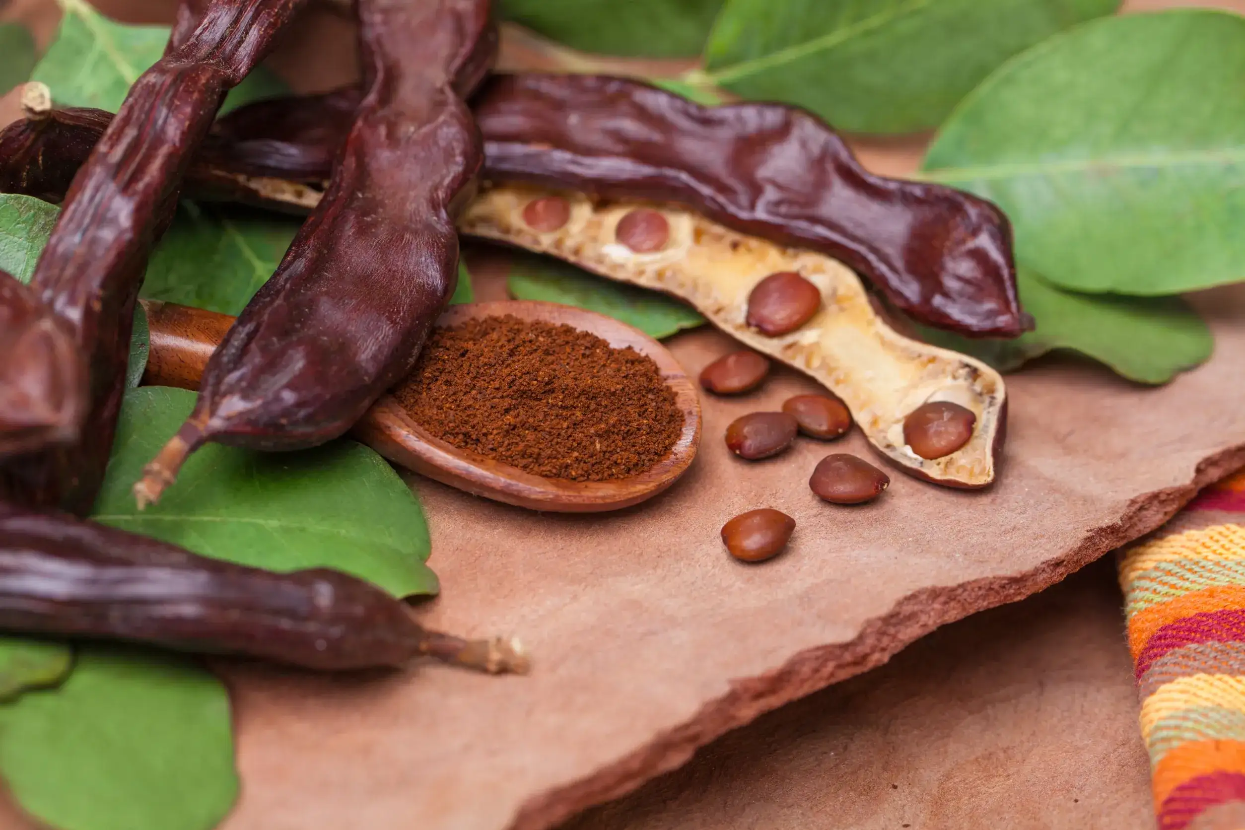 can dogs eat carob