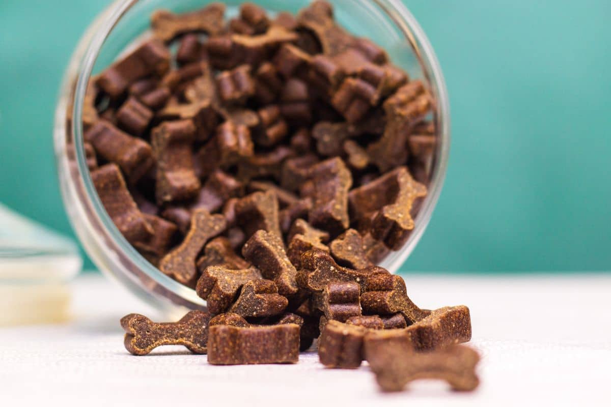 What is Carob, and Is it Safe for Dogs? to Pet Hut!